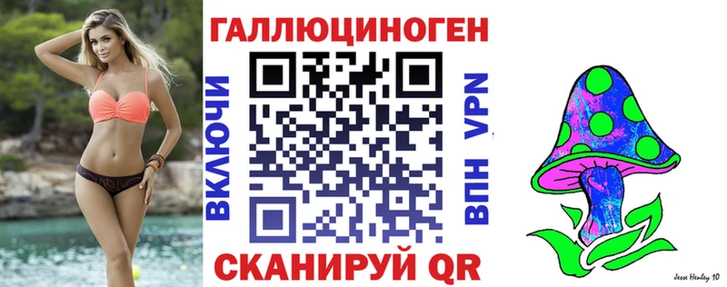 Купить где  Полесск  Псилоцибиновые грибы мицелий 